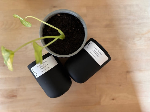 plant pot candles Organic Terracotta Pot Candle