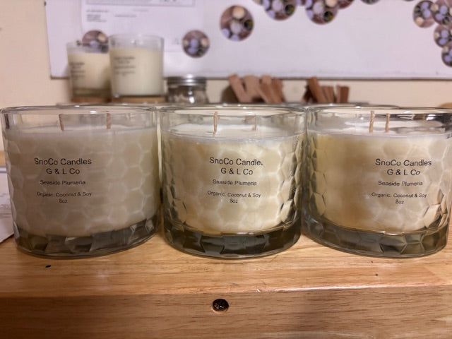 Organic I Elegant, Chic Glass Candle I Two Wick