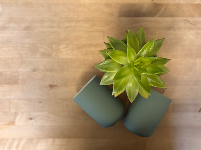Organic I Terracotta Pot I Wooden & Cork Wick