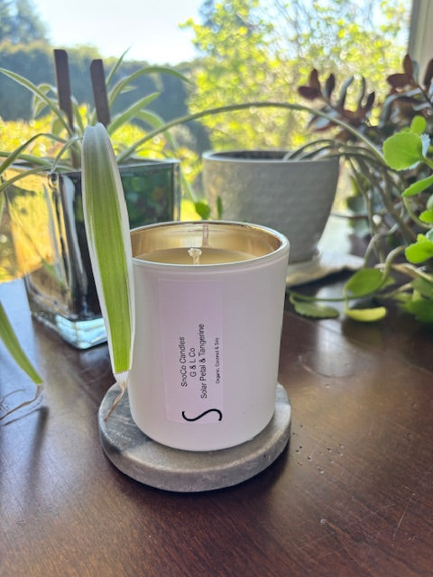 Noir I White Gold Trim Candle I Hand-poured with 100% organic coconut & soy wax. Clean-burning. No paraffin, no toxins.